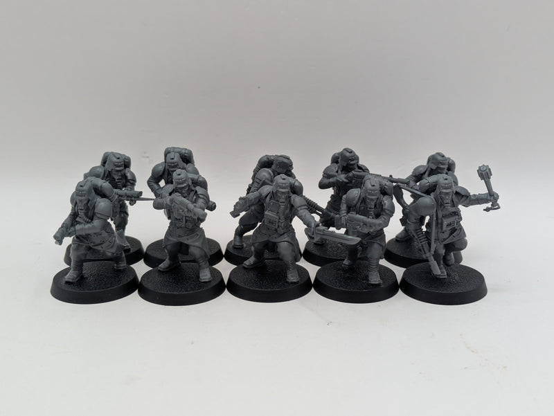 Warhammer 40k: Astra Militarum Death Korps of Kreig Veterans (AD134)