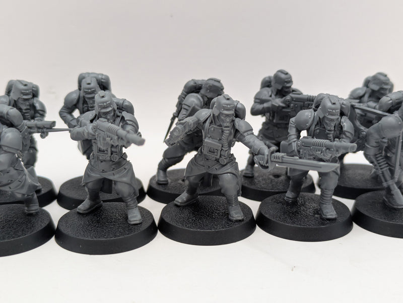 Warhammer 40k: Astra Militarum Death Korps of Kreig Veterans (AD134)