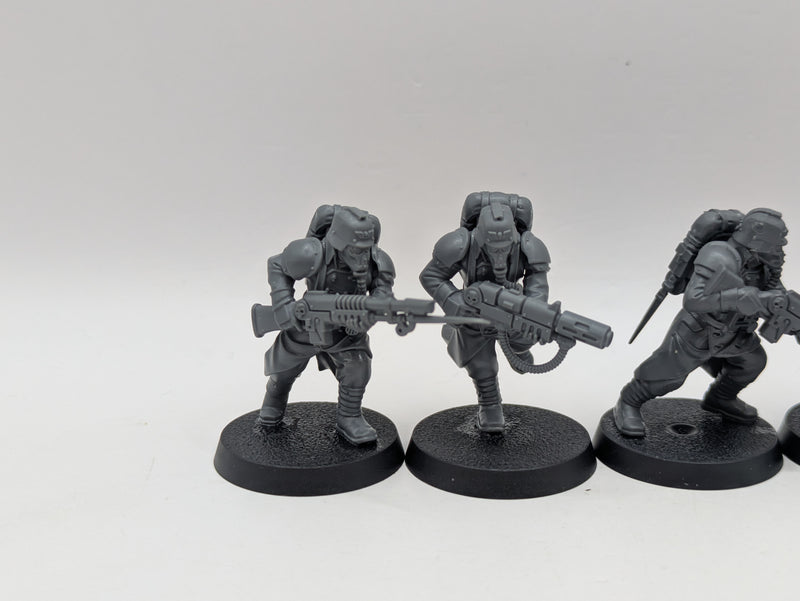 Warhammer 40k: Astra Militarum Death Korps of Kreig Veterans (AD134)