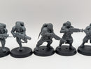 Warhammer 40k: Astra Militarum Death Korps of Kreig Veterans (AD134)