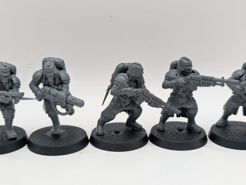Warhammer 40k: Astra Militarum Death Korps of Kreig Veterans (AD134)