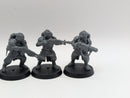 Warhammer 40k: Astra Militarum Death Korps of Kreig Veterans (AD134)