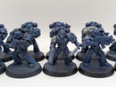 Warhammer 40k: Space Marines Crimson Fists Tactical Marines (BI155)