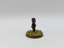 Warhammer The Old World: Warriors of Chaos Metal Sorcerer and Familiar (BJ092)