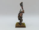 Warhammer The Old World: Warriors of Chaos Metal Marauder Champion (BJ095)