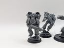Warhammer 40k: Chaos Space Marines Raptors (BJ003)