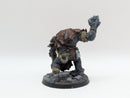 Warhammer Lord of the Rings: Hill Troll - Well Painted (BA008)