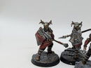 Warhammer Lord of the Rings: Warriors of Carn Dum - Well Painted (BI142)