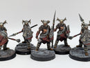 Warhammer Lord of the Rings: Warriors of Carn Dum - Well Painted (BI142)