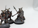 Warhammer Lord of the Rings: Warriors of Carn Dum - Well Painted (BI142)