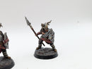 Warhammer Lord of the Rings: Warriors of Carn Dum - Well Painted (BI142)