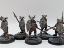 Warhammer Lord of the Rings: Warriors of Carn Dum - Well Painted (BJ159)