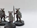 Warhammer Lord of the Rings: Warriors of Carn Dum - Well Painted (BJ159)