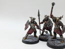 Warhammer Lord of the Rings: Warriors of Carn Dum - Well Painted (BA052)