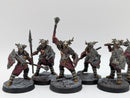 Warhammer Lord of the Rings: Warriors of Carn Dum - Well Painted (BA052)