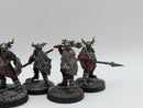 Warhammer Lord of the Rings: Warriors of Carn Dum - Well Painted (BA052)