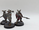 Warhammer Lord of the Rings: Warriors of Carn Dum - Well Painted (BA052)