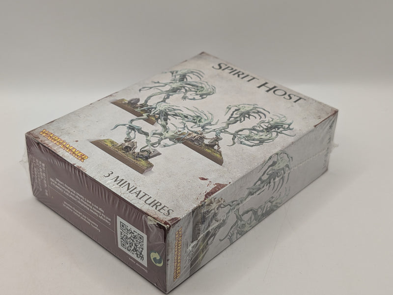 Warhammer Age of Sigmar Spirit Host BD026