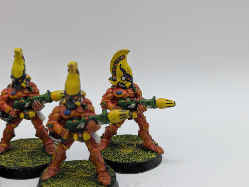 Warhammer 40k: Aeldari Eldar Metal Fire Dragons and Fuegan (AH032)