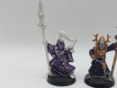 Warhammer 40k: Aeldari Eldar Metal Warlocks/Farseers (AD029)