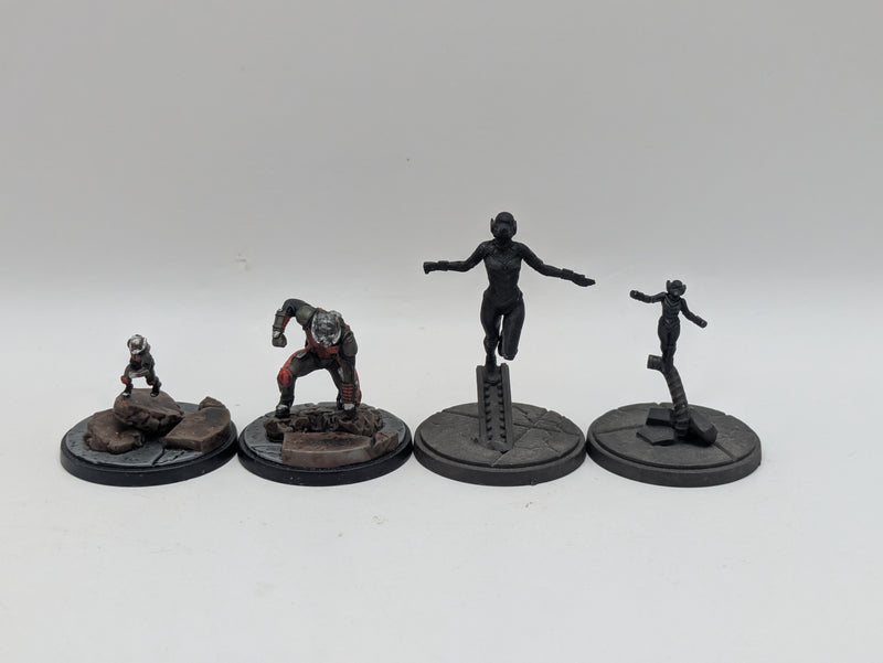 Marvel Crisis Protocol: Antman and the Wasp - Models Only Missing Pieces (BJ051)