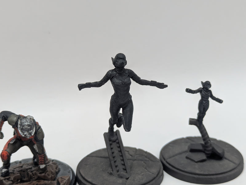 Marvel Crisis Protocol: Antman and the Wasp - Models Only Missing Pieces (BJ051)