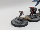 Marvel Crisis Protocol: Antman and the Wasp - Models Only Painted (BJ044)