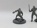 Marvel Crisis Protocol: Black Panther and Killmonger - Models Only (BH084)