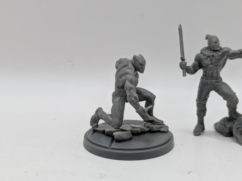 Marvel Crisis Protocol: Black Panther and Killmonger - Models Only (BH084)
