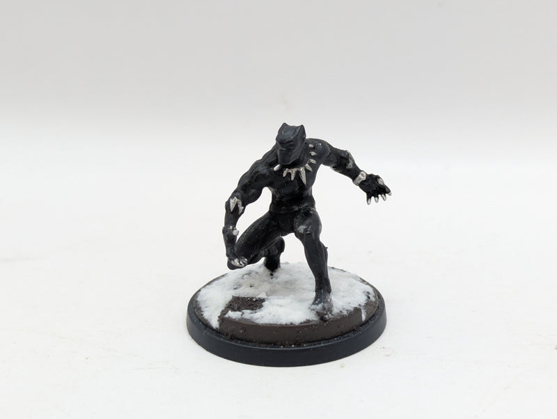 Marvel Crisis Protocol: Black Panther and Killmonger Painted - Models Only (AI085)