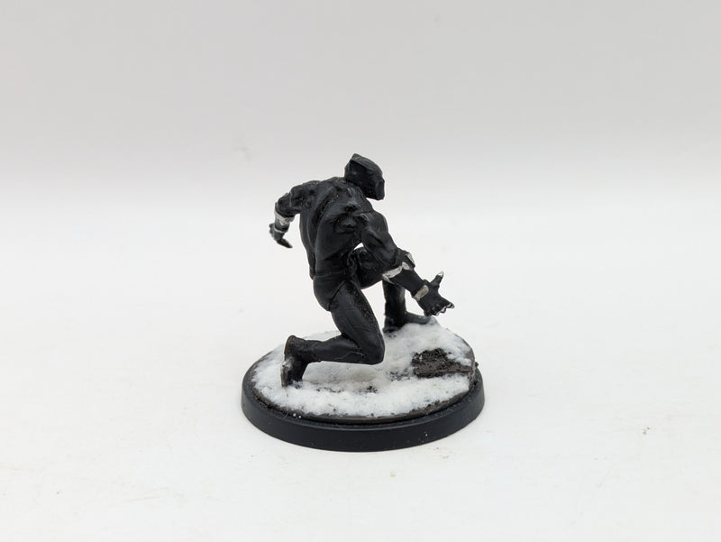 Marvel Crisis Protocol: Black Panther and Killmonger Painted - Models Only (AI085)