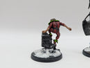 Marvel Crisis Protocol: Magneto and Toad Painted - Models Only (BI113)
