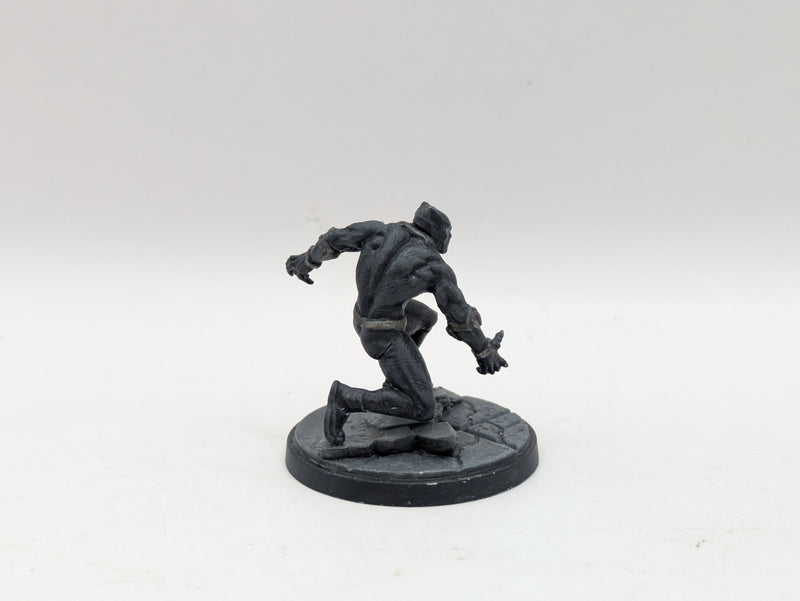 Marvel Crisis Protocol: Black Panther and Killmonger - Models Only (AW194)