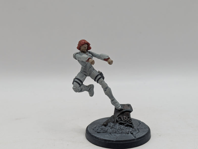 Marvel Crisis Protocol: Black Widow and Hawkeye - Models Only (AJ068)