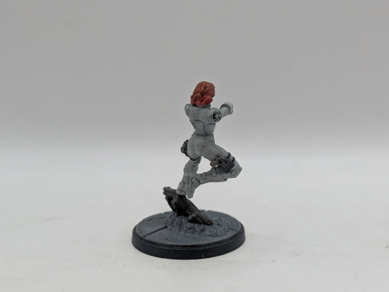 Marvel Crisis Protocol: Black Widow and Hawkeye - Models Only (AJ068)