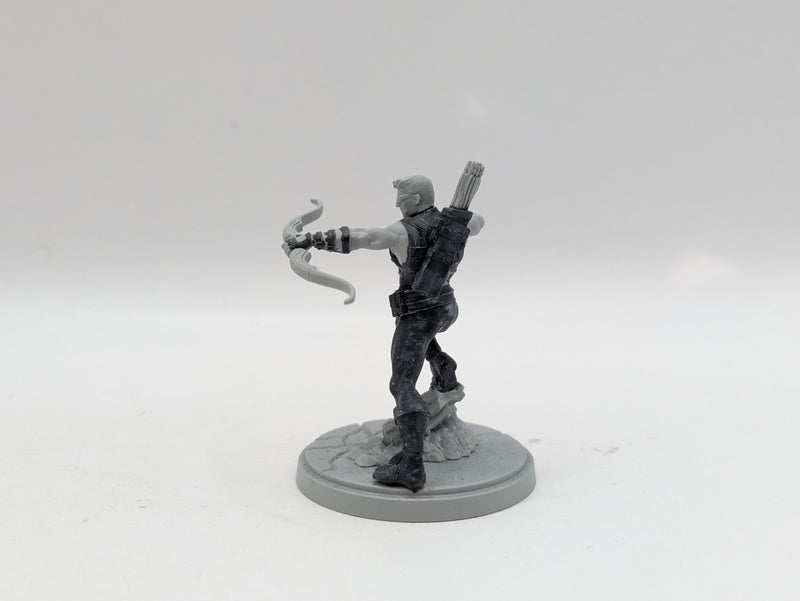 Marvel Crisis Protocol: Black Widow and Hawkeye - Models Only (AJ068)