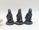 Warhammer Lord of the Rings: Guards of the Fountain Court and King Elessar (AZ106)