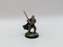 Warhammer Lord of the Rings: Rohan Old Helm Hammerhand - Well Painted (BC019)