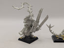 Warhammer Fantasy Beastmen Brayherds Khazarak One-eye and Redmaw BC081