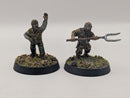 Warhammer Lord of the Rings Personalities of the Shire Folco Boffin and Farmer Cotton - Painted BJ099