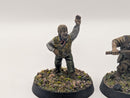 Warhammer Lord of the Rings Personalities of the Shire Folco Boffin and Farmer Cotton - Painted BJ099