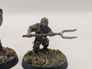 Warhammer Lord of the Rings Personalities of the Shire Folco Boffin and Farmer Cotton - Painted BJ099