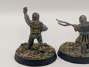 Warhammer Lord of the Rings Personalities of the Shire Folco Boffin and Farmer Cotton - Painted BJ099