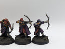 Warhammer Lord of the Rings: Haradrim Warriors - Well Painted (AI066)