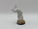 Warhammer Lord of the Rings: Harad Half Trolls (AE002)
