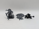 Warhammer The Old World: Lizardmen Battle Standard Bearer and Skink Priest (AA006)