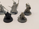 Warhammer Lord of the Rings The Fellowship of the Ring BI156