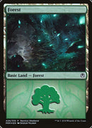 a06-forest