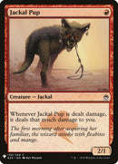 a25-139-jackalpup
