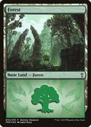 b08-forest